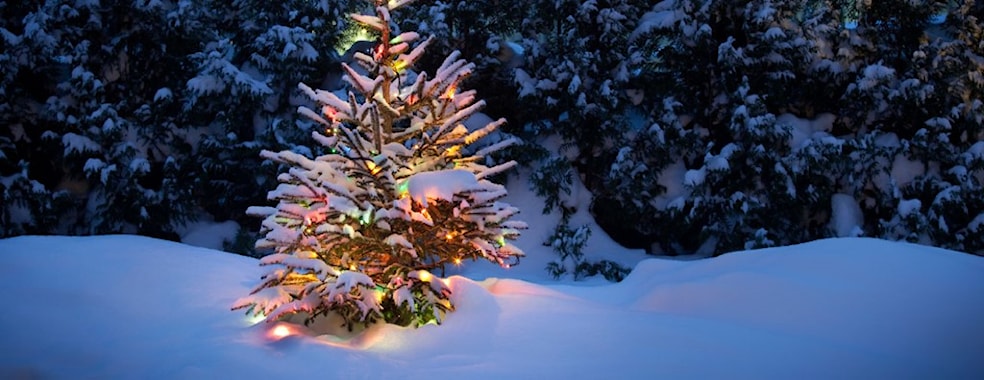 Jul i skogen